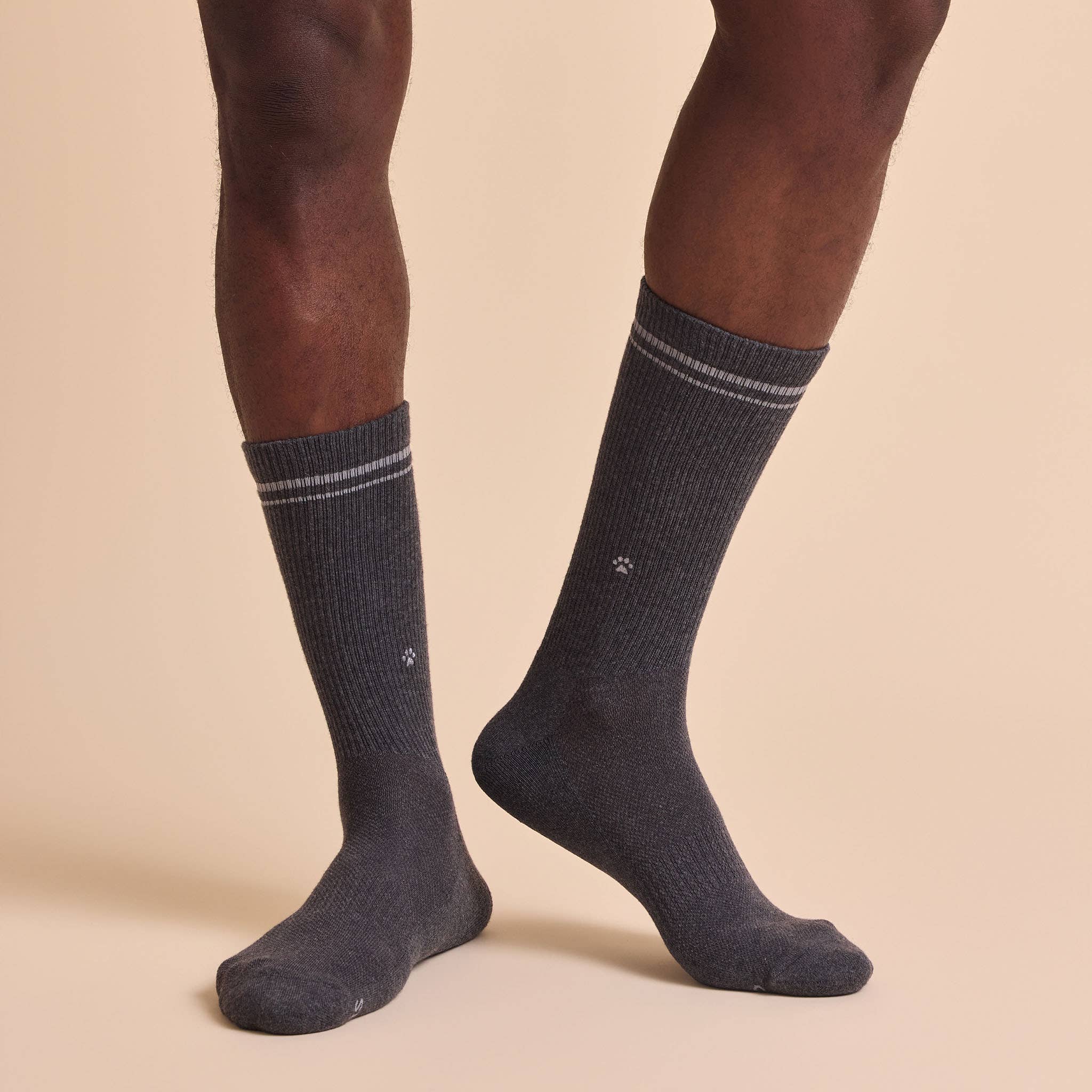 Conscious Step - Comfort Crew Socks that Save Dogs | Set of 3