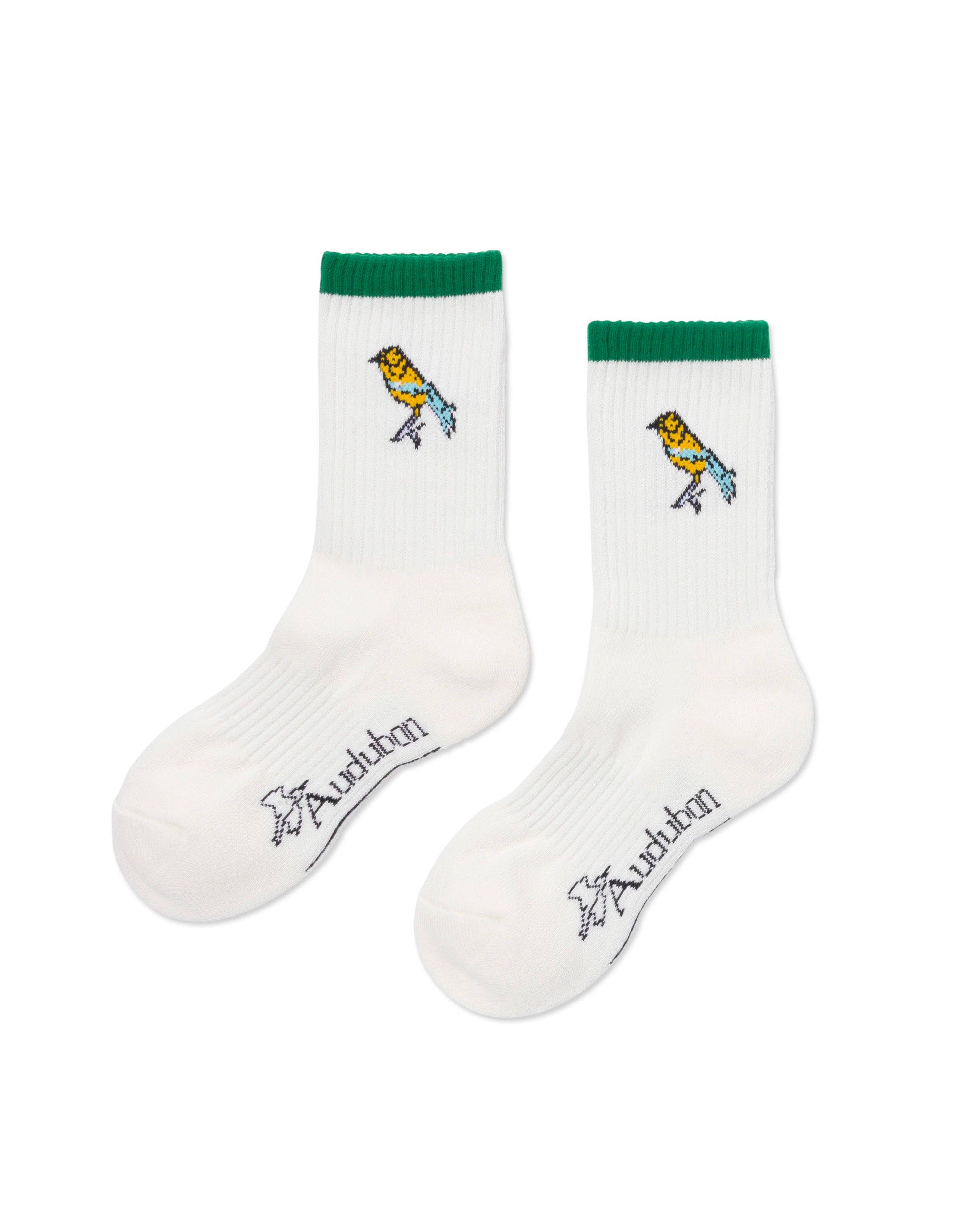 Parks Project - Parks Project x Audubon Trail Sock
