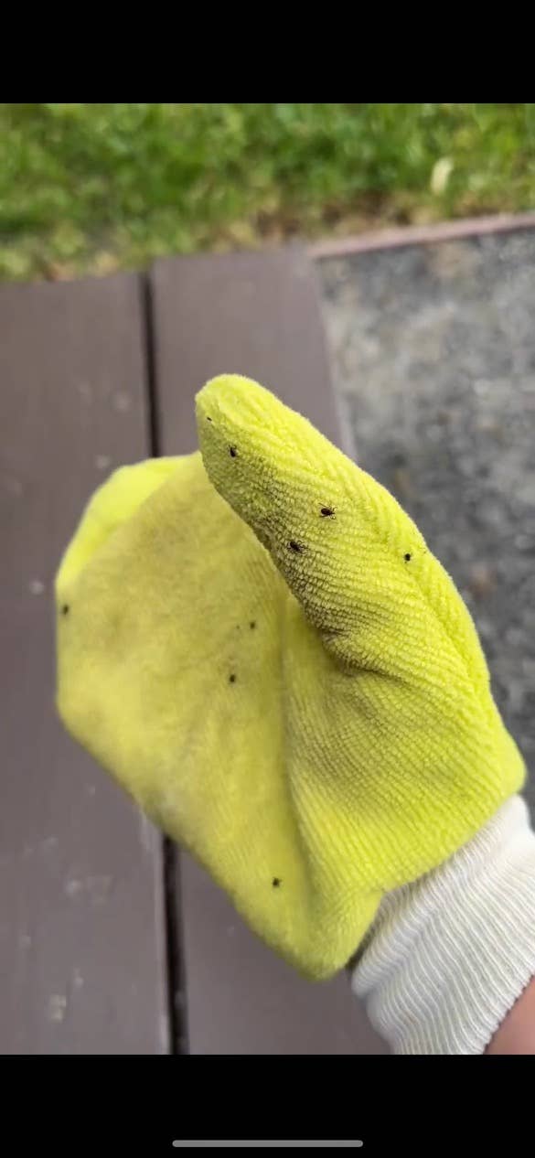 TiCK MiTT - TiCK MiTT: Tick Remover for Pets, Outdoor Lovers - non-toxic