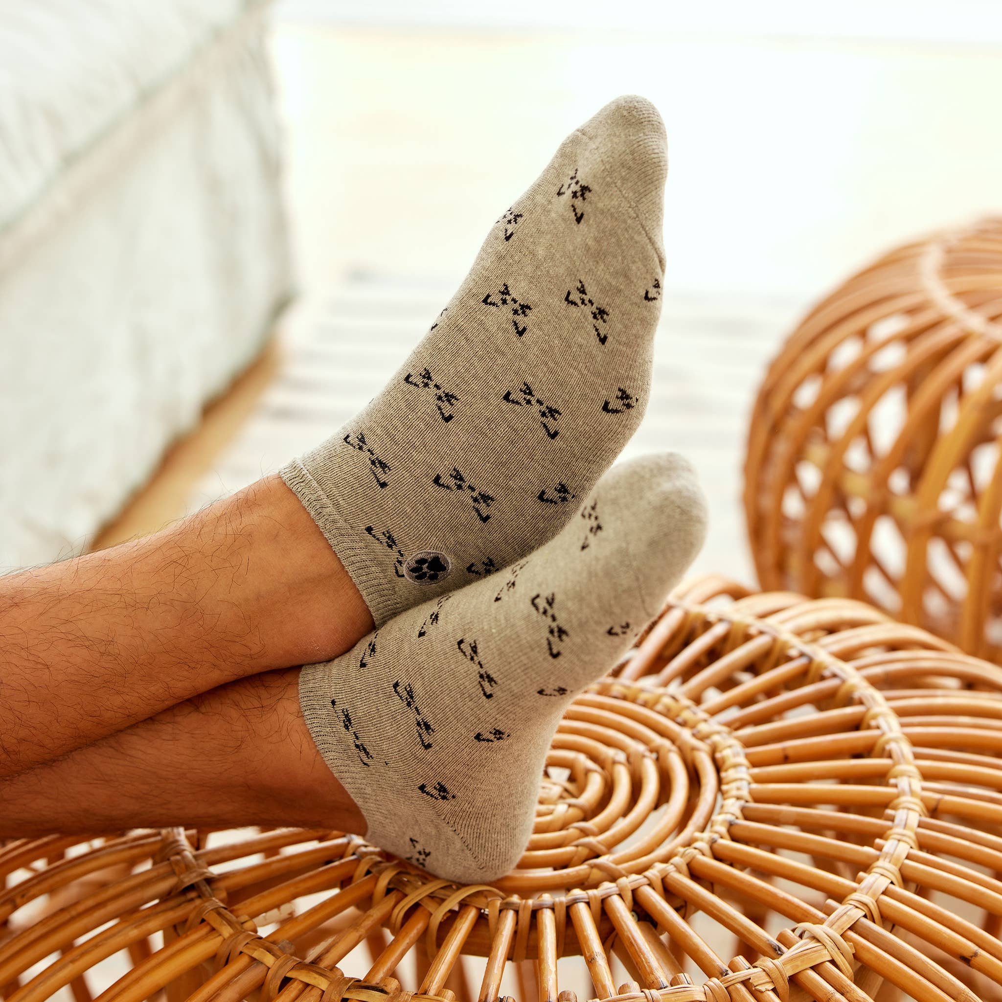 Conscious Step - Ankle Socks that Save Cats | Gray