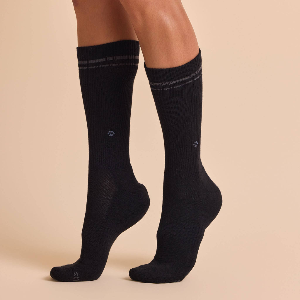 Conscious Step - Comfort Crew Socks that Save Dogs | Set of 3