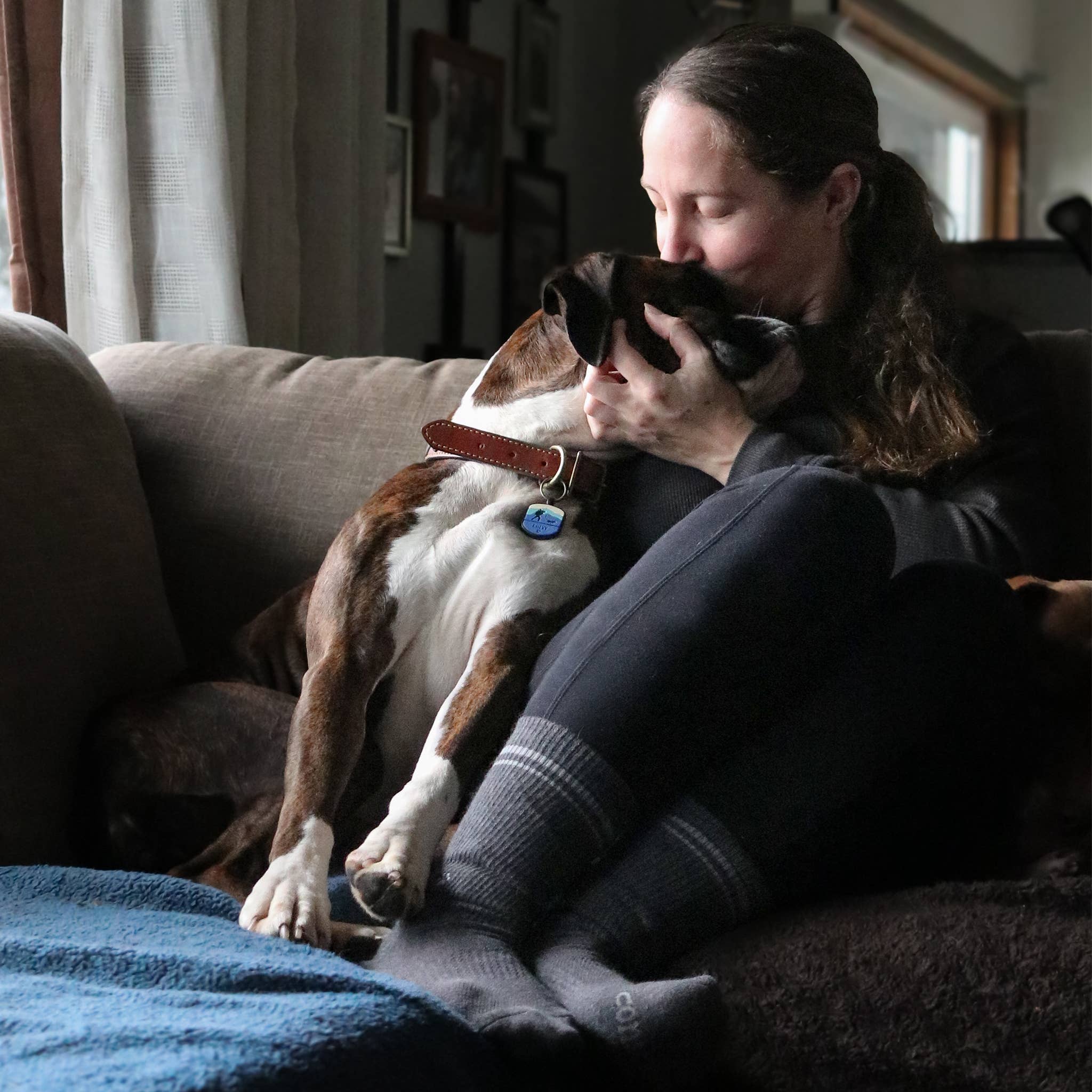 Conscious Step - Comfort Crew Socks that Save Dogs | Set of 3