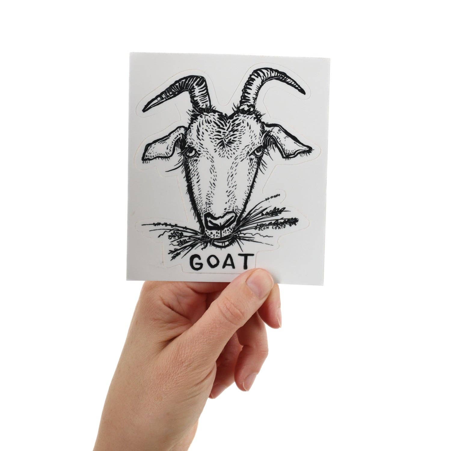 Slow Loris - GOAT Sticker
